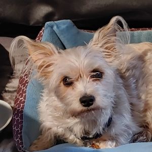 Meet your Posher, Barb